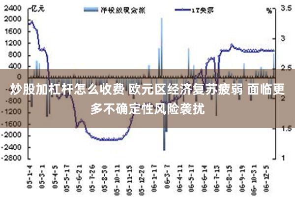 炒股加杠杆怎么收费 欧元区经济复苏疲弱 面临更多不确定性风险袭扰