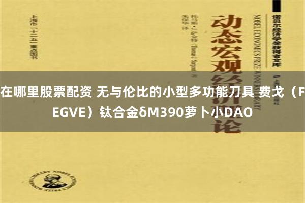 在哪里股票配资 无与伦比的小型多功能刀具 费戈（FEGVE）钛合金δM390萝卜小DAO