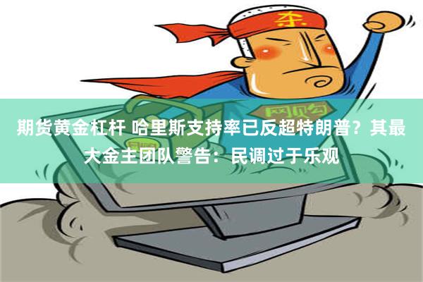 期货黄金杠杆 哈里斯支持率已反超特朗普？其最大金主团队警告：民调过于乐观