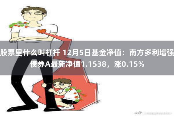 股票里什么叫杠杆 12月5日基金净值：南方多利增强债券A最新净值1.1538，涨0.15%