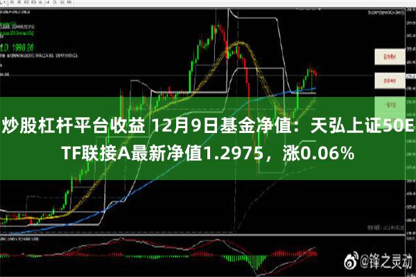 炒股杠杆平台收益 12月9日基金净值：天弘上证50ETF联接A最新净值1.2975，涨0.06%