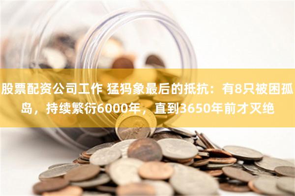 股票配资公司工作 猛犸象最后的抵抗：有8只被困孤岛，持续繁衍6000年，直到3650年前才灭绝